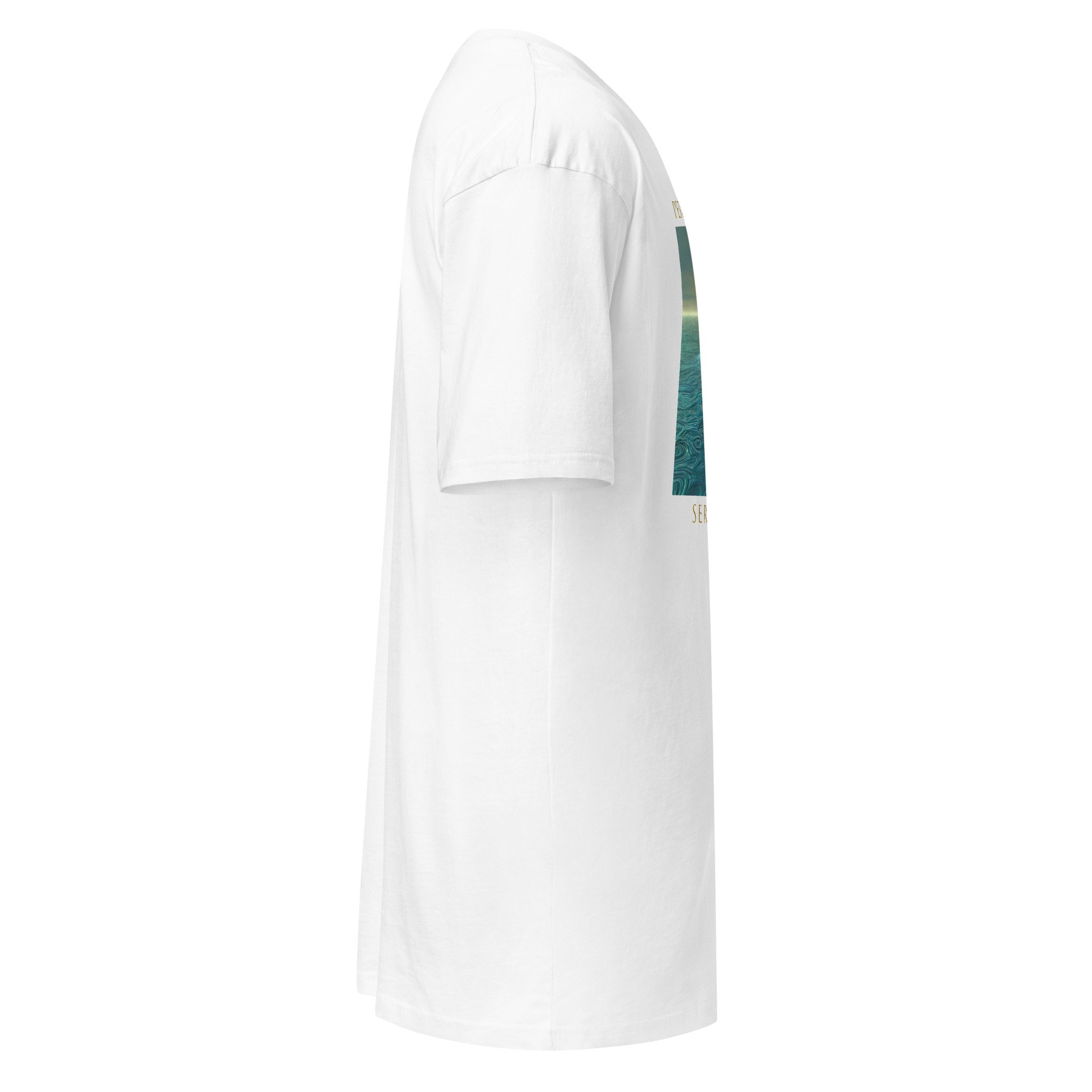 Persephone's Dream "Serene Sea" Men’s Premium Heavyweight Tee - Image 9